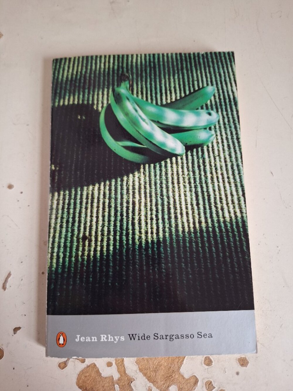 Wide Sargasso Sea